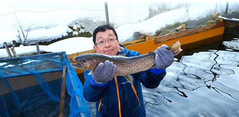 角掛養魚場|行德（角掛）養魚場